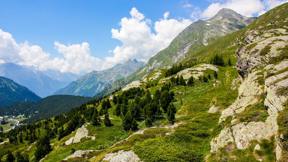 Nejdelší stezku v korunách stromů na světě otevřou ve Švýcarsku